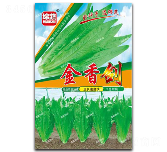 金香劍-油麥菜種子-綿蔬種業(yè)