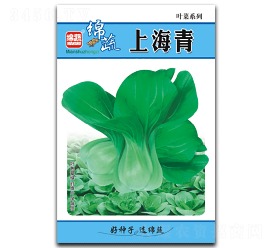 上海青-青菜種子-綿蔬種業(yè)