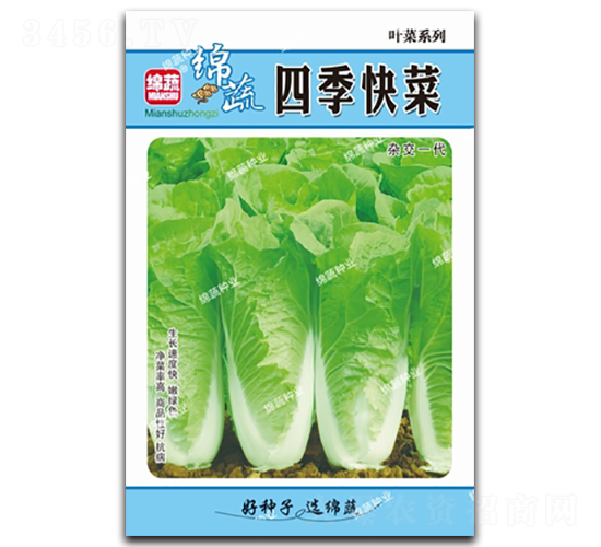 四季快菜-青菜種子-綿蔬種業(yè)
