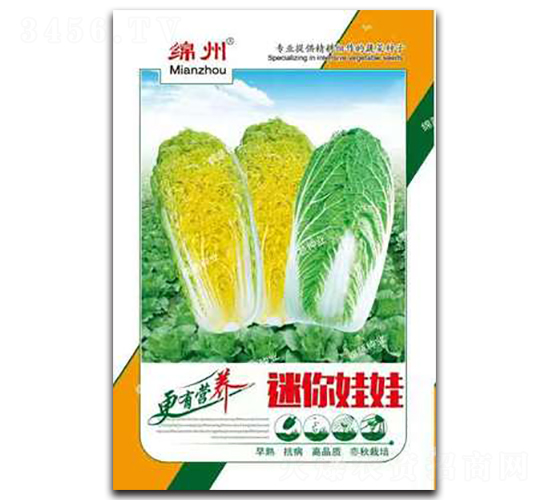 迷你娃娃-白菜種子-綿蔬種業(yè)