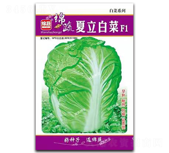 夏立白菜-白菜種子-綿蔬種業(yè)