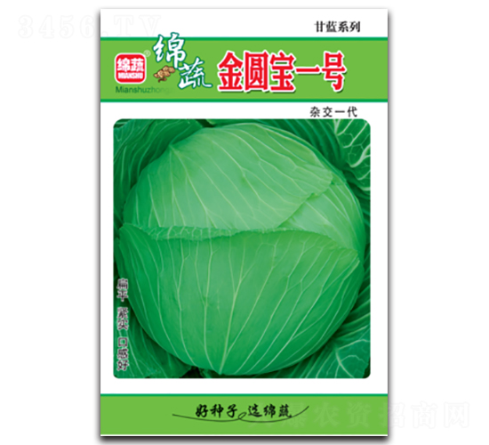 金圓寶一號(hào)-包菜種子-綿蔬種業(yè)
