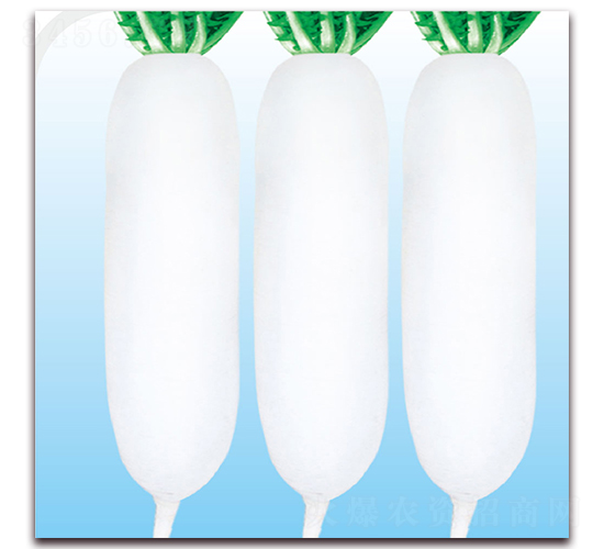 白玉二號(hào)-蘿卜種子-美之奧