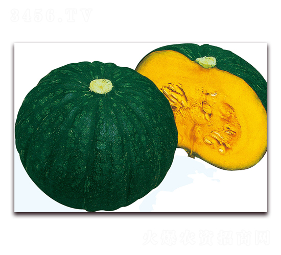 ����2̖-�ϹϷN��-��֮�W