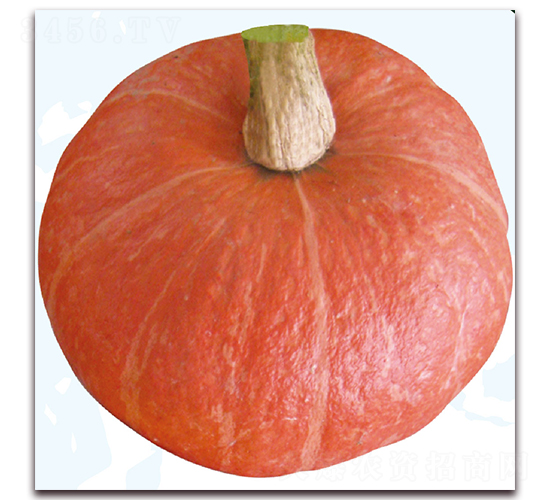 �F�t2̖-�ϹϷN��-��֮�W