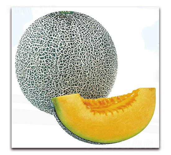 情網(wǎng)-甜瓜種子-美之奧