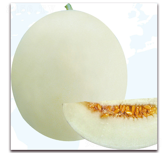 沃爾多-甜瓜種子-美之奧