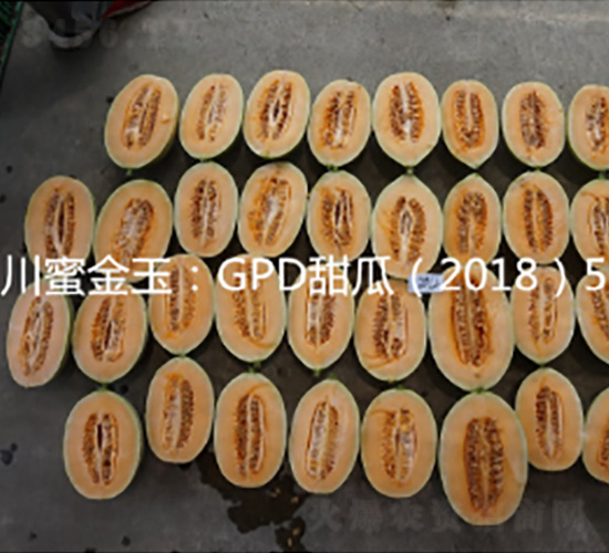 川蜜金玉-甜瓜種子-好特園藝