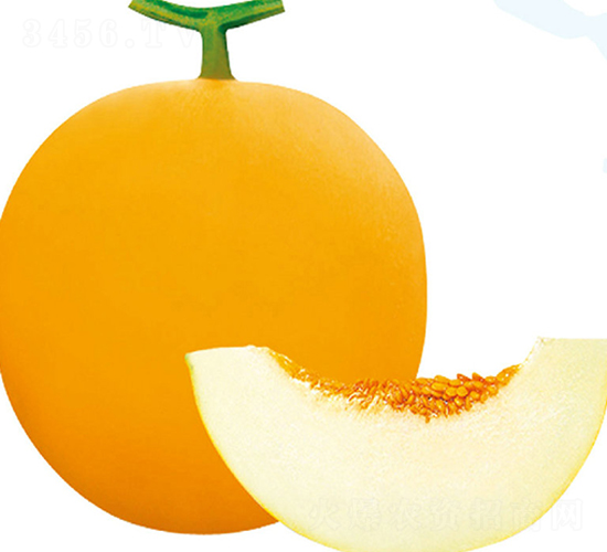 伊麗莎白3號-甜瓜種子-美之奧