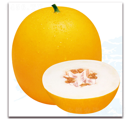 ����5̖-��ϷN��-��֮�W