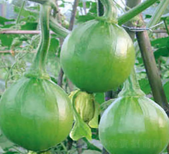 �������S-�ϹϷN��-���؈@ˇ