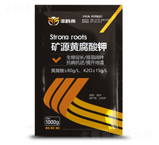 1000g�VԴ�S�����-�S�Ɓ�-������