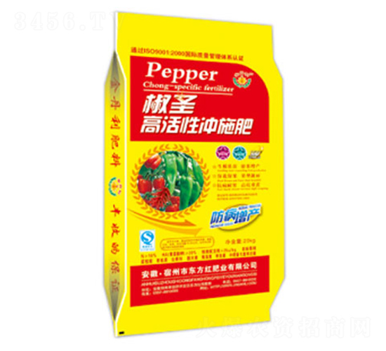 ��ʥ�߻��ԛ_ʩ��-�|���t