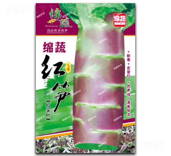 �d�߼t�S-�n�S�N��-�d�߷N�I(y��)