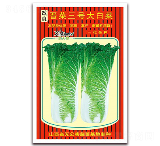 晉菜三號大白菜-白菜種子-歆天綠