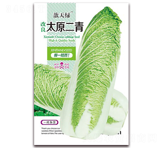 改良太原二青-白菜種子-歆天綠