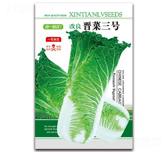 改良晉菜三號-白菜種子-歆天綠
