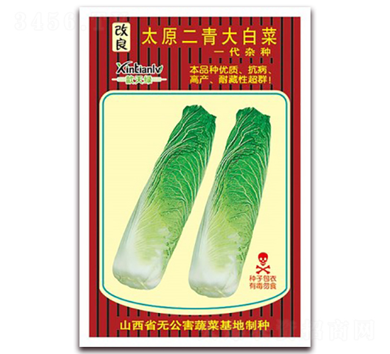 改良太原二青大白菜-白菜種子-歆天綠