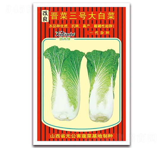 改良晉菜三號大白菜-白菜種子-歆天綠