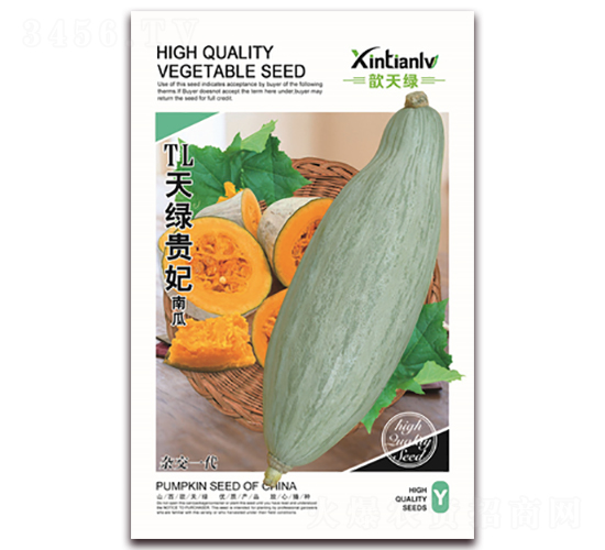 TL��G�F���Ϲ�-�ϹϷN��-���G