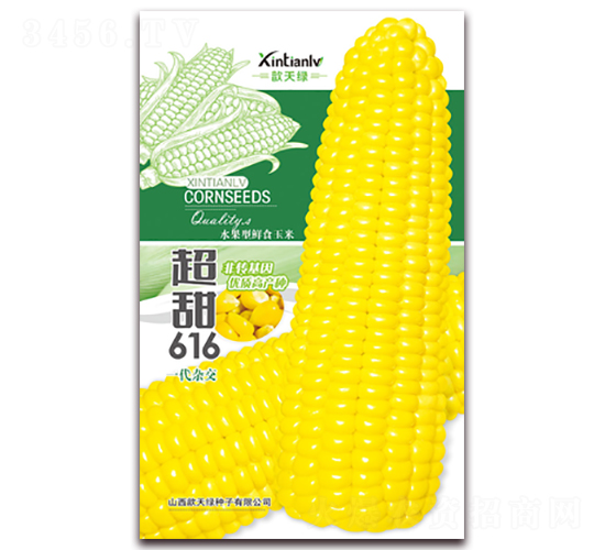 超甜616-甜糯玉米種子-歆天綠