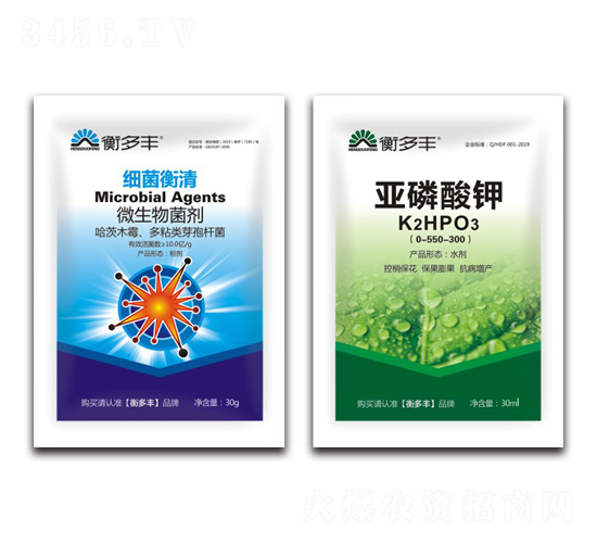 1+1�B���Լ���������-��������-����S