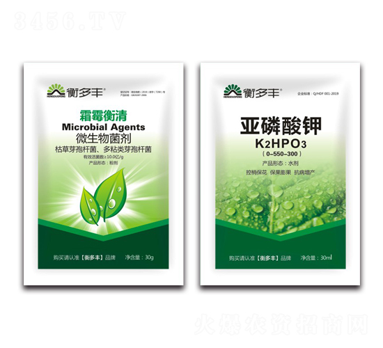 1+1�B����˪ù������-˪ù����-����S