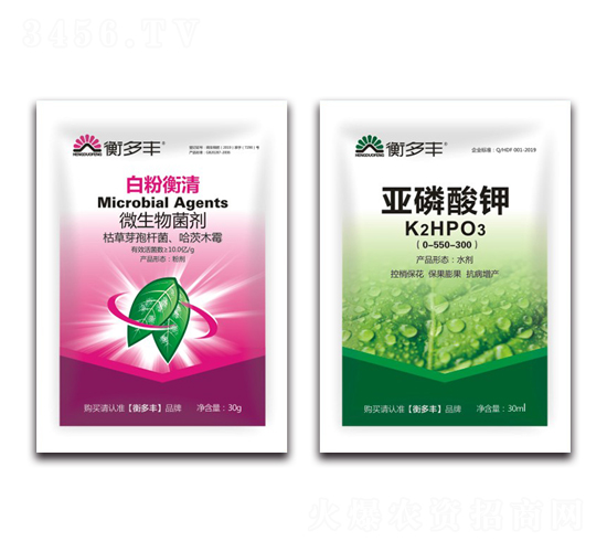 1+1�B���԰׷۲�����-�׷ۺ���-����S