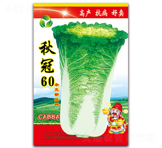 ���60-�ײ˷N��-���ǷN�I(y��)