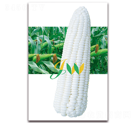 �ܿ�Ŵ-�rʳ���׷N��-�I�ھ���