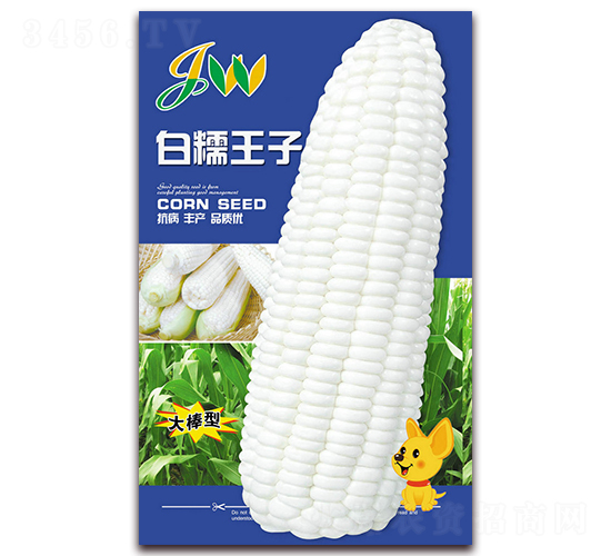 白糯王子-鮮食玉米種子-營口君旺