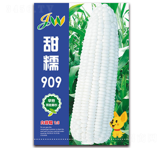 甜糯909-鮮食玉米種子-營口君旺