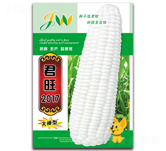 君旺2017-鮮食玉米種子-營口君旺