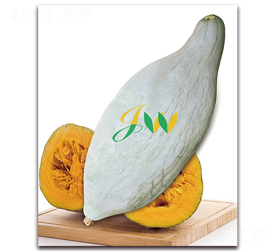 喜力-南瓜種子-營口君旺