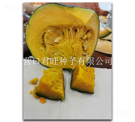 寶格麗-南瓜種子-營(yíng)口君旺