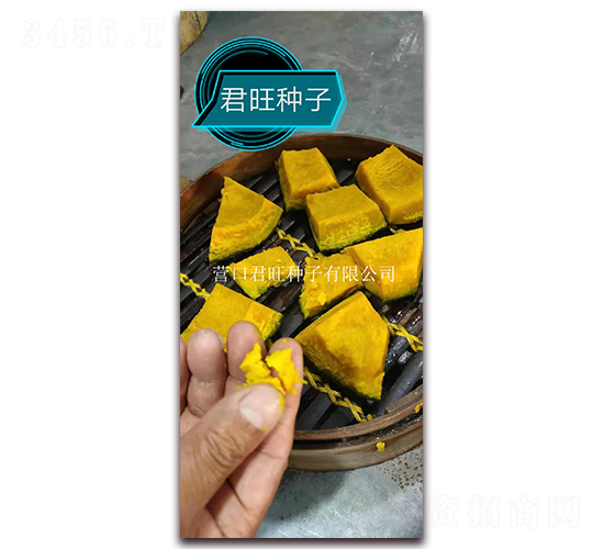 鐵球王子-南瓜種子-營(yíng)口君旺