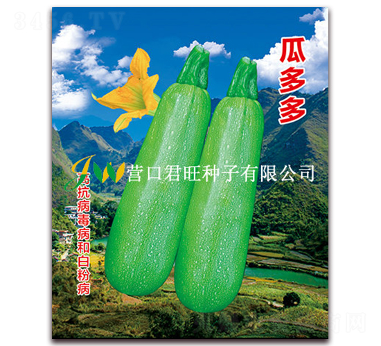 �϶��-�����J�N��-�I�ھ���