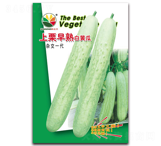 上栗早熟白黃瓜-黃瓜種子-農(nóng)之子