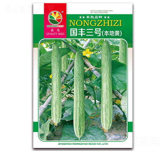 國豐三號(hào)-黃瓜種子-農(nóng)之子