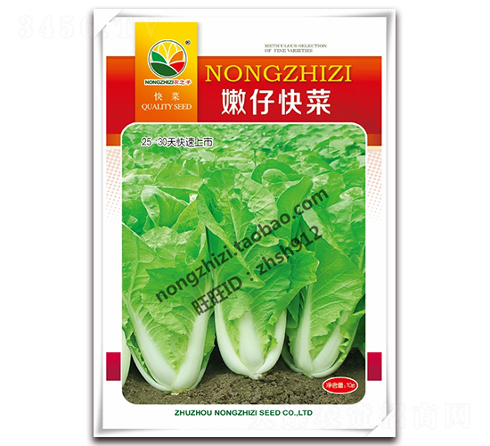 嫩仔快菜-白菜種子-農(nóng)之子