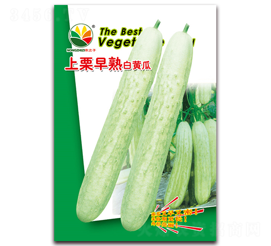 ����������S��-���S�ϷN��-�r(n��ng)֮��