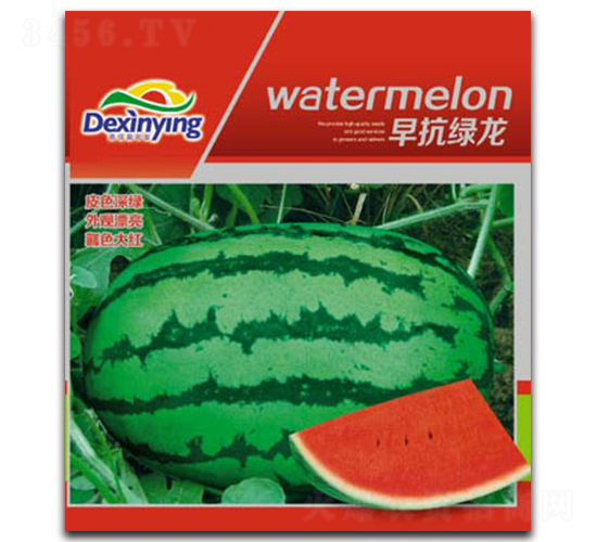 早抗綠龍-西瓜種子-德信盈農(nóng)業(yè)