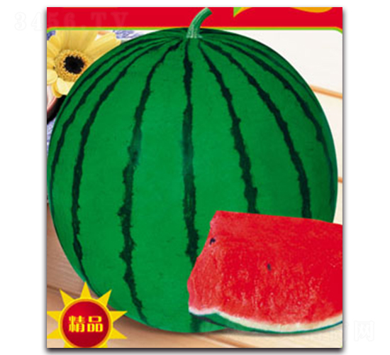 ����-���ϷN��-����ӯ�r(n��ng)�I(y��)