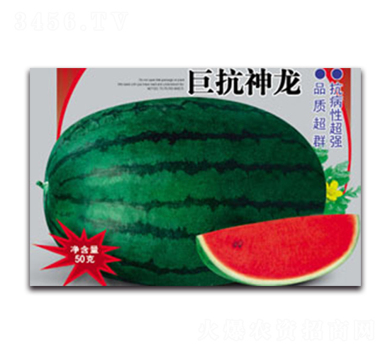 �޿�����-���ϷN��-����ӯ�r�I(y��)