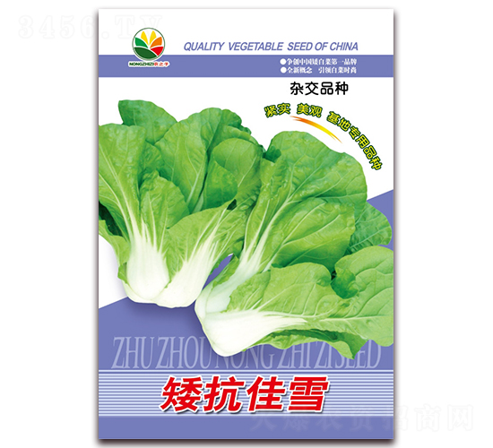 ������ѩ-���_�׷N��-�r(n��ng)֮��