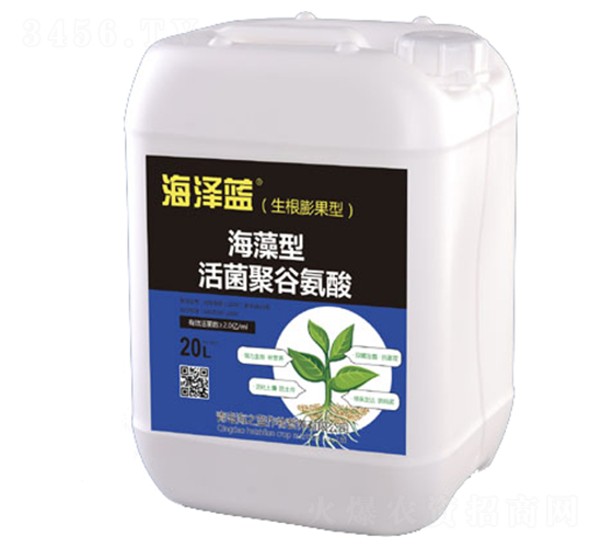 海藻型活菌聚谷氨酸-海澤藍-海之藍