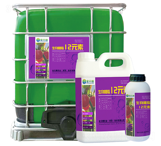 ������֬12Ԫ��-��Ԫ�ǌ��I(y��)