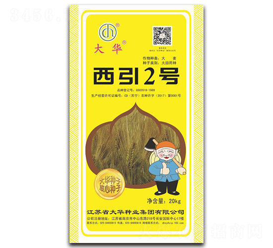 西引2號-大麥種子-大華種業(yè)