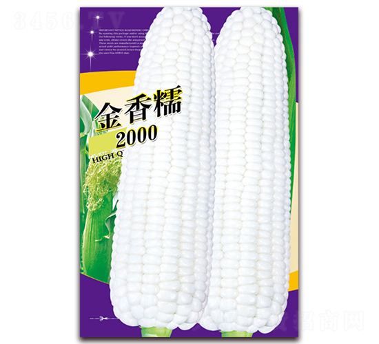 金香糯2000-糯玉米種子-天星種業(yè)