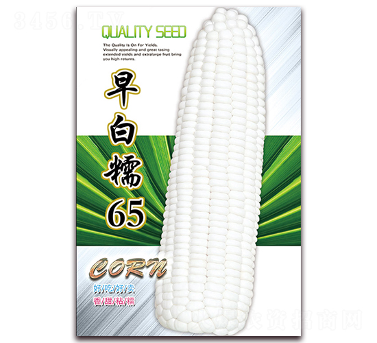 ���Ŵ65-Ŵ���׷N��-���ǷN�I(y��)